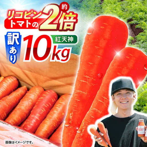 ※[2027年1月上旬より順次発送/先行予約][訳あり]真っ赤な人参「紅天神」10kg AHCU006 人参