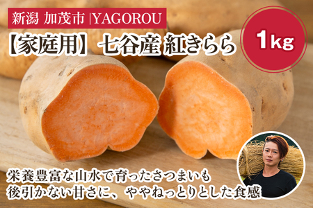 【家庭用】紅きらら 1kg（A品・B品混在） 七谷産 さつまいも《順次発送》