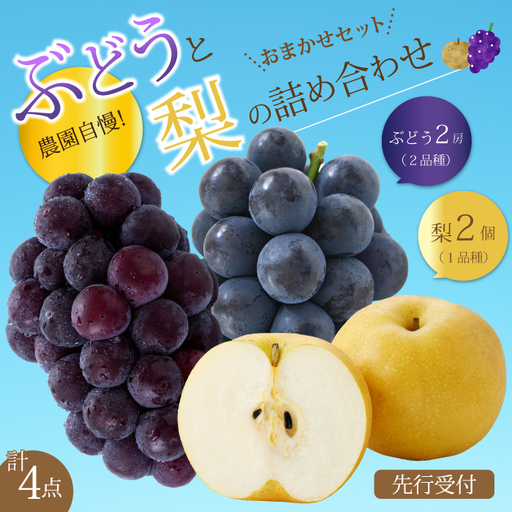 【先行受付】ぶどう2房と梨2個詰め合わせ 2026年9月下旬発送予定 果物 くだもの フルーツ ブドウ なし 葡萄 202008