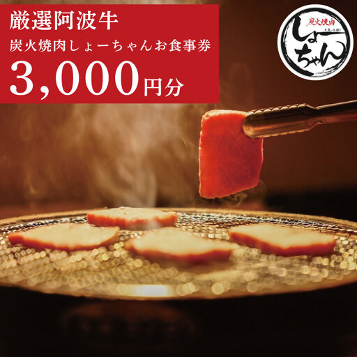 焼肉 食事券 3000円分 チケット 利用券