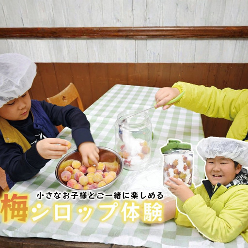 梅ジュースづくり体験ペアチケット iwasho014A【iwasho014A】