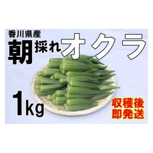 【2026年産】 善通寺市産オクラ １kg_Z2600120