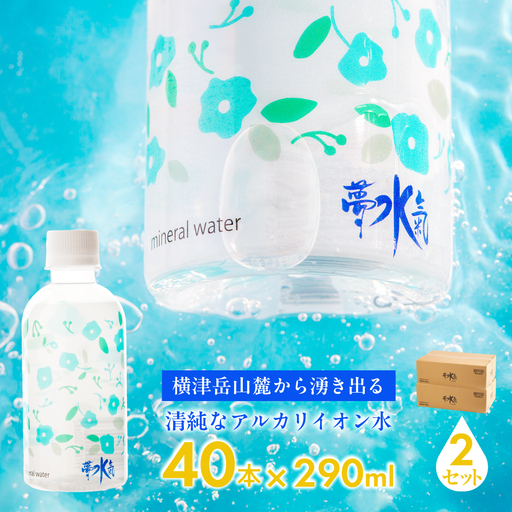 ミネラルウォーター夢水氣（290ml×40本）2セット 天然アルカリイオン水 NABI004