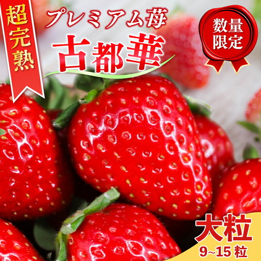 いちご プレミアム古都華いちご 1箱 | （大粒9〜15粒）【2027年1月～発送】20-050