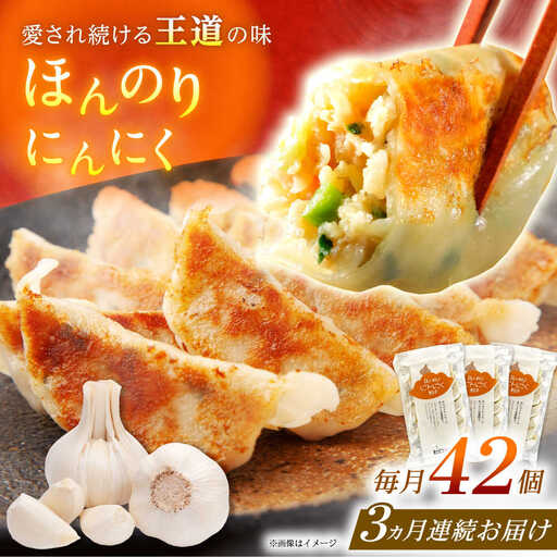 【全3回定期便】【3パック】餃子屋ヒロの ほんのりにんにく餃子 ぎょうざ[BDAS013]