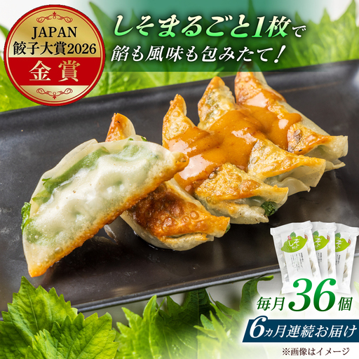 【全6回定期便】【3パック】餃子屋ヒロの 人気のしそ餃子 ぎょうざ[BDAS011]