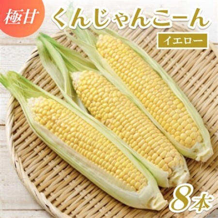 [2027年4月上旬から順次発送]春獲れ一番!極甘くんじゃんこーん 8本 とうもろこし[配送不可地域:離島]