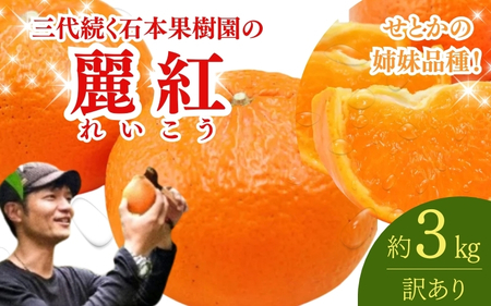 麗紅 訳あり 石本果樹園 約3kg 約18～20玉前後 麗紅（レイコウ）【min018】