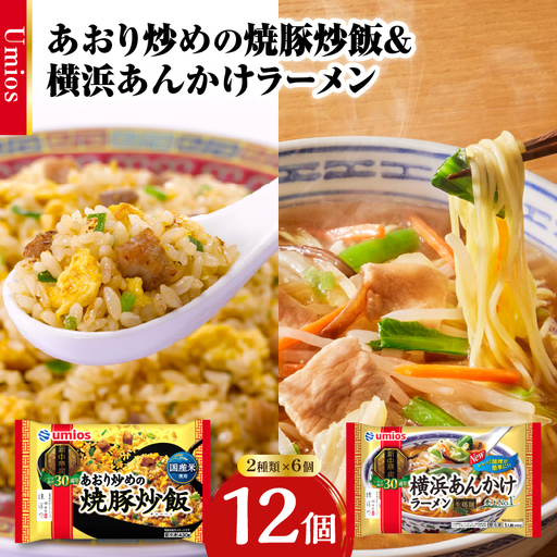 Umios 冷凍食品 あおり炒めの焼豚炒飯＆横浜あんかけラーメン詰合せセット 045-006