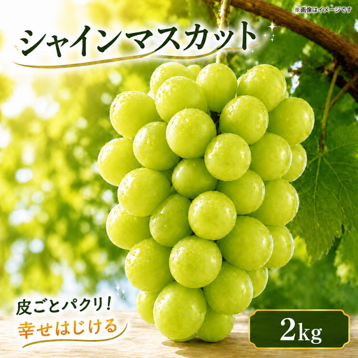 シャインマスカット 2kg シャインマスカット