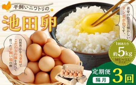 【隔月3回定期便】 大分県 九重町産 平飼いニワトリの池田卵 ミックスサイズ MS～LLサイズ 計約15kg（約5kg×3回） 卵 たまご 玉子 鶏卵 生卵