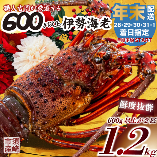 【伊勢海老】 特大伊勢海老 2匹