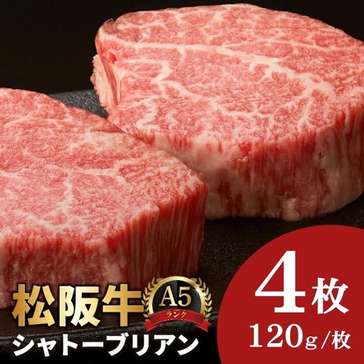 松阪牛シャトーブリアンステーキ 480g A5 [ 松阪牛 ] / 9.6-1
