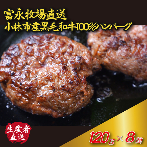 ハンバーグ 牛肉 120g×8個 100% ハンバーグ 
