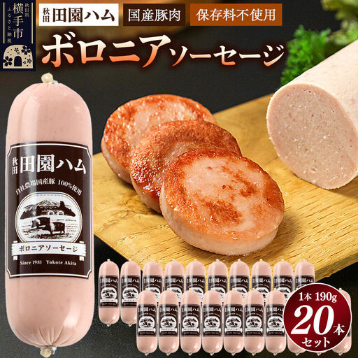 田園ハム ボロニアソーセージ 190g×20本セット