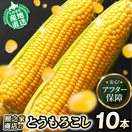 【2026年先行予約】照之家商店 鮮度抜群とうもろこし10本 味来 北海道産 当別町