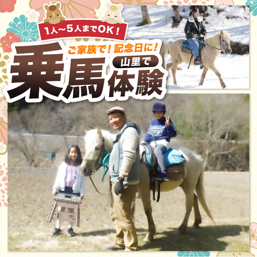 里山で乗馬体験（馬のブラシがけと乗馬でむらをお散歩）1人から5人まで可能【055-12】