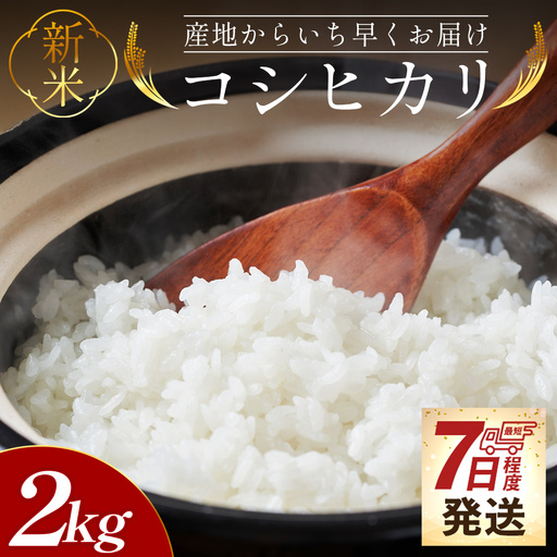 [7日程度で発送]コシヒカリ 2kg 令和8年産新米 新米 コシヒカリ 精米 at-0055
