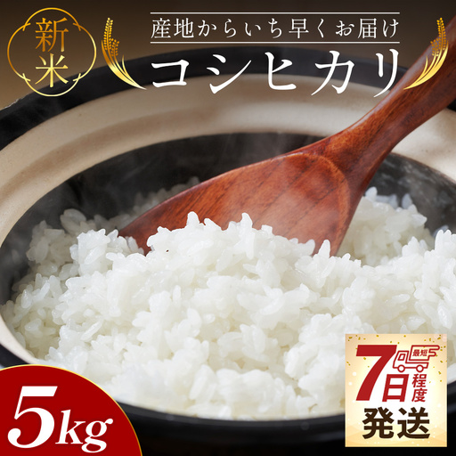 [7日程度で発送]コシヒカリ 5kg 令和8年産 白米 コシヒカリ 高知県 at-0056