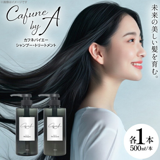 シャンプー トリートメント シャンプー 500ml 1本 トリートメント 500ml 1本