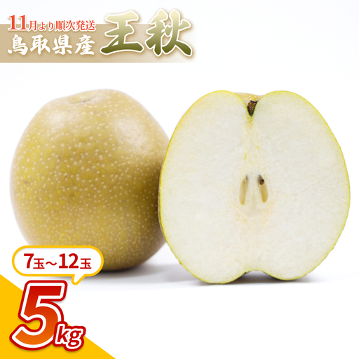 中野農園 梨 ”王秋梨” 5kg箱｜鳥取 岩美 梨 なし ナシ※お届けは2026年11月以降【41017】