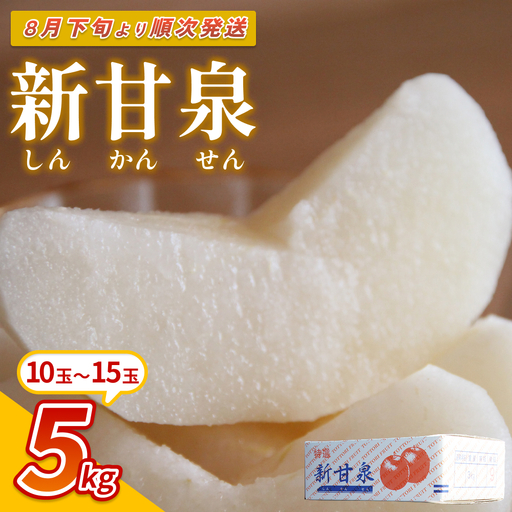 【先行予約】中野農園 梨 ”新甘泉” 5kg箱｜鳥取 岩美 梨 なし ナシ※お届けは2026年8月下旬以降【41021】
