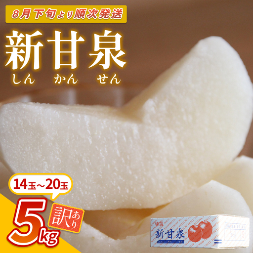 【先行予約】（訳あり）中野農園 梨 ”新甘泉” 5kg箱｜鳥取 岩美 梨 なし ナシ※お届けは2026年8月下旬以降【41022】