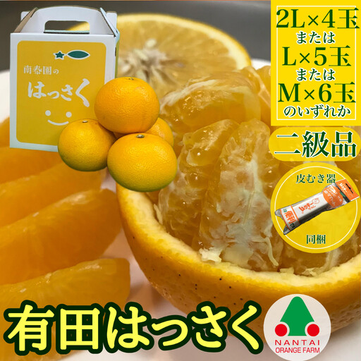 ちょっと 傷あり 手さげ箱 有田 はっさく 2L ~ M 4~6玉入 ムッキー 同梱 南泰園 みかん