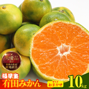 【2026年先行予約】みかん 極早生 箱込10kg（内容量9.2kg）おまかせサイズ（S/M/L）秀品・優品 の混合 有田みかん 和歌山県産_MK1070