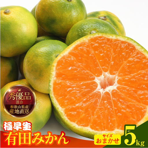【2026年先行予約】みかん 極早生 箱込 5kg ( 内容量4.4kg ) おまかせサイズ（S/M/L）秀品・優品 の混合 有田みかん 和歌山県産_MK1072