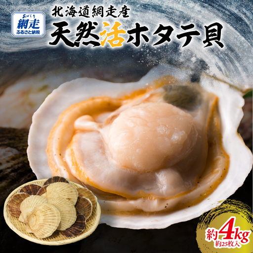 【先行予約】北海道網走産天然活ホタテ貝 4kg前後（令和7年7月より順次発送）| 活ホタテ 活きほたて ホタテ ほたて 帆立 活ほたて 北海道 網走市 ABAE017