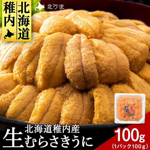 【2026年発送】うにの名産地稚内市！最北端の生むらさきうに(100g×1)　