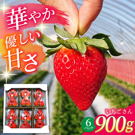 いちごさん 150g×6パック いちご IAK016