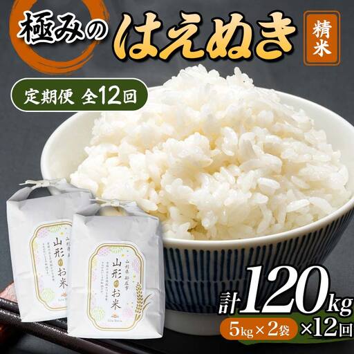 【令和8年産米先行予約】(全12回定期便)極みのはえぬき 精米 5kg×2袋 米 お米 おこめ ふるさと納税 山形県 新庄市 F3S-2882