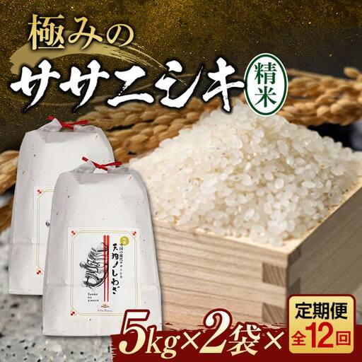 【令和8年産米先行予約】(全12回定期便)極みのササニシキ 精米 5kg×2袋 米 お米 おこめ ふるさと納税 山形県 新庄市 F3S-2878