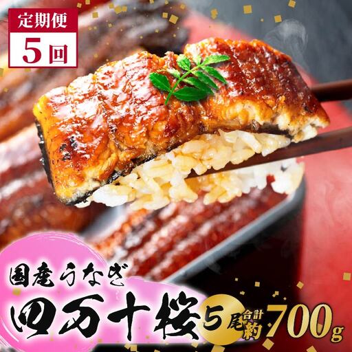 [5回定期便]国産うなぎ四万十桜 蒲焼き約140g×5尾 蒲焼き 鰻