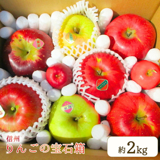 りんご 園主におまかせ 詰合せ 計約2kg（5~8玉）りんご の宝石箱