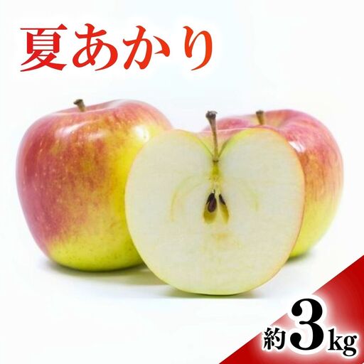 [2026年先行予約]りんご 夏あかり(長野県オリジナル品種) 約3kg | りんご