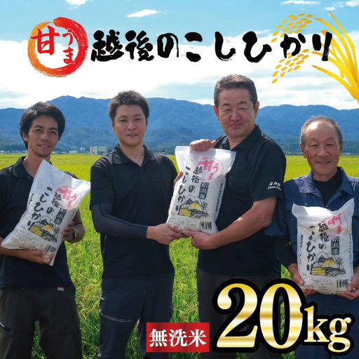 無洗米 コシヒカリ 20kg 新潟産 令和7年産 無洗米 toushin033_01