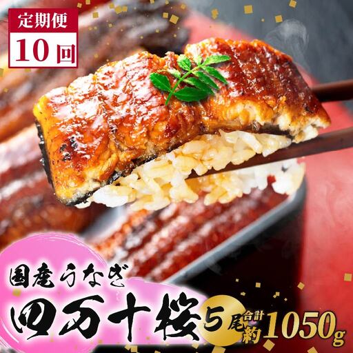 【通常用】【10回定期便】特大 極上国産うなぎ四万十桜　蒲焼き約210g×5尾 定期便