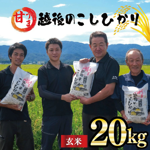 新潟産 コシヒカリ 玄米 20kg 令和7年産 甘うま越後のこしひかり コシヒカリ 玄米 toushin035_02