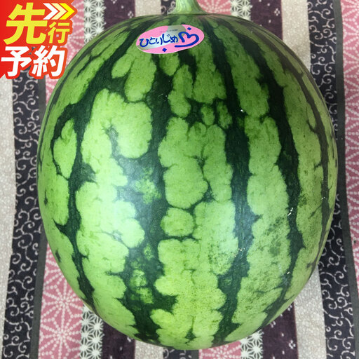 [ R8年熊本地震復興支援 ]熊本特産!小玉スイカ 2玉入り すいか スイカ 西瓜 果物 フルーツ [2027年6月発送予定]