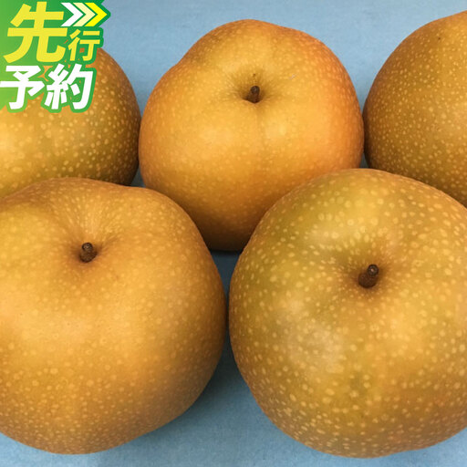 ＜ R8年熊本地震復興支援 ＞熊本「旬の梨」約5kg （幸水、豊水、あきづき、新高のいずれか1品種） ナシ 梨 果物 フルーツ 【2027年8月下旬～9月下旬発送予定】