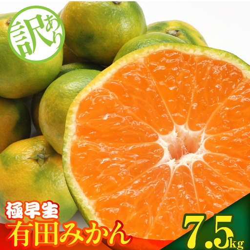 【2026年先行予約】訳あり みかん 極早生 箱込 7.5kg ( 内容量 6.8kg ) サイズミックス 有田みかん 和歌山県産_MK1083