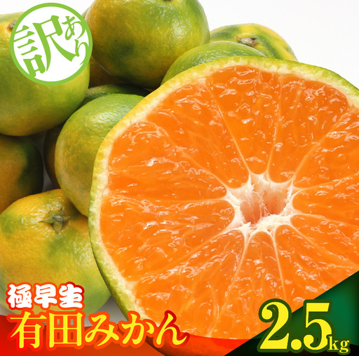 訳あり[2026先行予約] みかん 極早生 箱込 2.5kg ( 内容量 2.3kg ) サイズミックス 有田みかん 和歌山県産