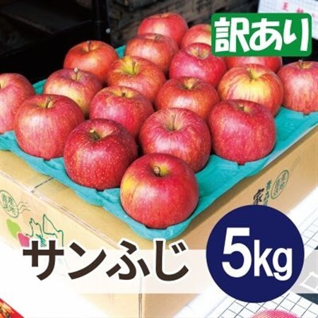 平均糖度13度以上! サンふじ 約5kg 訳あり_果物・フルーツ りんご  リンゴ 林檎_【配送不可地域：離島・沖縄県】【1611198】