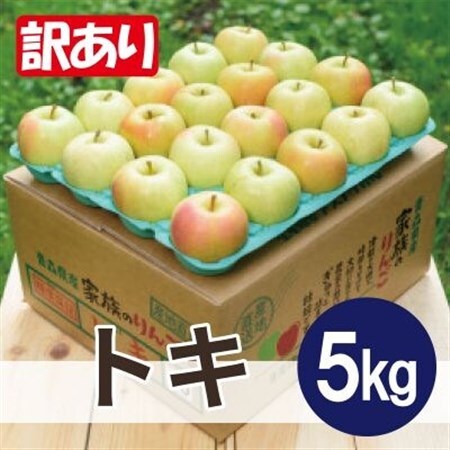 【26年10月～11月順次発送予定】平均糖度13度以上! トキ 約5kg 訳あり　青森県産りんご_果物・フルーツ りんご  リンゴ 林檎_【配送不可地域：沖縄県】【1611811】