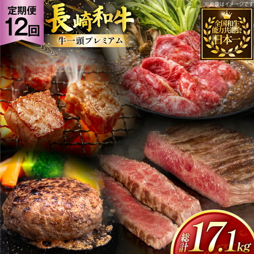 牛肉 和牛 牛一頭プレミアム定期便「長崎和牛をまるごと堪能」 12回 総計17.1kg