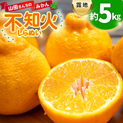 【期間限定発送】 みかん 山田さんちの露地不知火(しらぬい) 約5kg