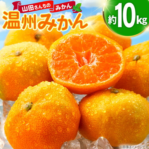 【期間限定発送】 みかん 温州みかん 10kg